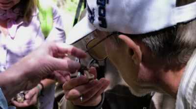 So I started attending
these festivals and forays - Fantastic Fungi