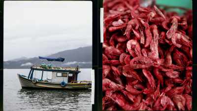 So I started to go after the
fishermen and talk to them... - Restaurants at the End of the World
