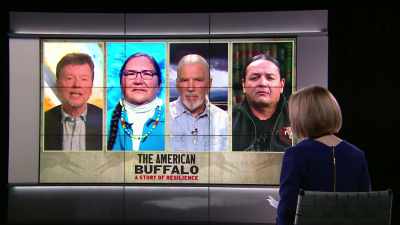 So, I think in some ways
our delay in getting to it - The American Buffalo