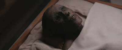 So I think saying
that Tutankhamun - Tutankhamun: Allies & Enemies