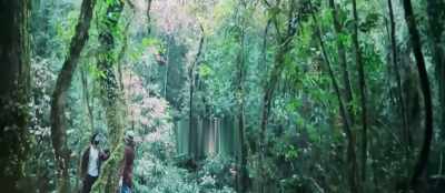 So I thought maybe
I could leave you here in my stead - Bhediya