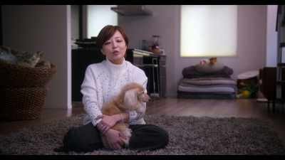 So, I turned down the job, - Dogs