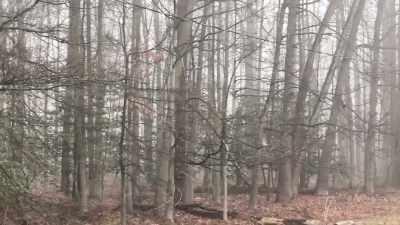 So I wanted to start documenting this - The Fear Footage