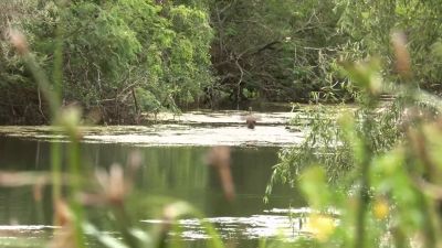 So I went around
to take the shot, - Naked and Afraid
