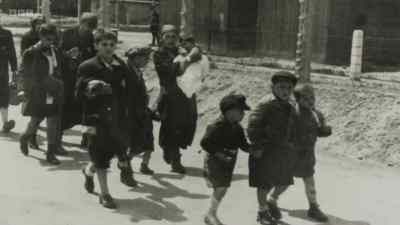 So I went back to my brother. - What Happened at Auschwitz