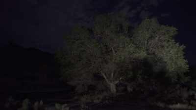 So I went out there
and grabbed some rocks - Horror in the High Desert 2: Minerva