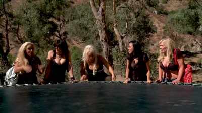 So if we jump really high,
we could get him all excited, - Bigfoot or Bust