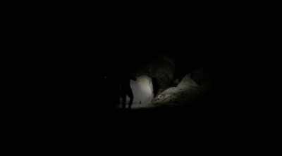 So if this thing can
paralyze a tarantula - Kings of Pain