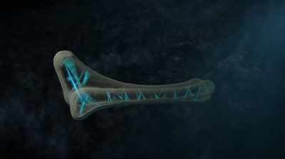 SO IF THIS BONE IS BIG ENOUGH
TO BE A T. REX - Dino Hunters