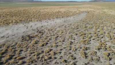- So I'm at my desk, - Horror in the High Desert