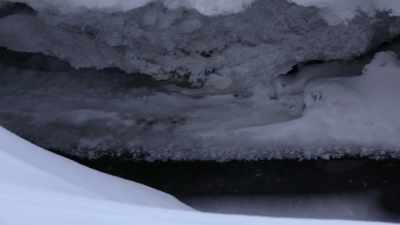 So, I'm going to leave Sipsey
and my gear back here and - Life Below Zero: Next Generation