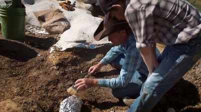 SO I'M GONNA DO JUST
A LITTLE BIT MORE EXPOSING - Dino Hunters