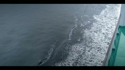 So, I'm grateful to be visiting again. - Chasing Waves