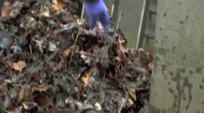 So, I'm just poking
a little hole, - Sewer Divers