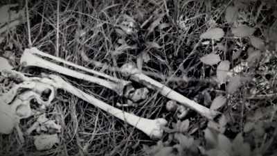 SO I'M THINKING
HE WAS HERE 8/11 OF '77, - The 93 Victims of Samuel Little