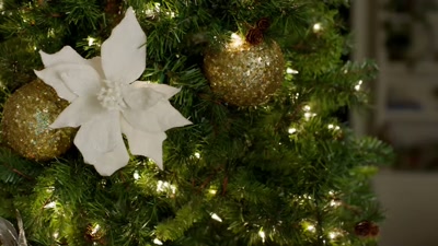 So, I'm thinking
we finish decorating the tree, - My Southern Family Christmas