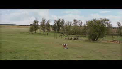So, in all my lives as a dog, here's what I've learned. - A Dog's Purpose