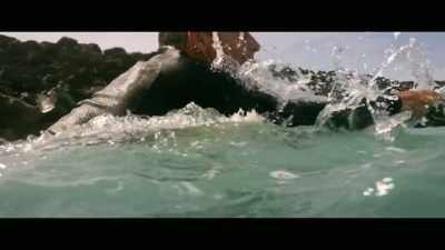 So in essence, that surfboard
took me into the ocean, - Envoy: Shark Cull