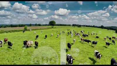 So in one situation, you get emissions, - Kiss the Ground