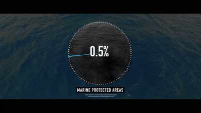 So in reality, - Seaspiracy