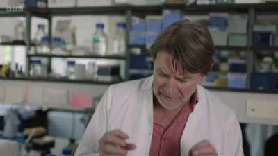 So, in some context,
suppressing pain clearly - The Human Body: Secrets of Your Life Revealed
