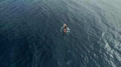 So in the case of the devil's
sea, we keep on looking. - Mysteries of the Deep