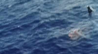 So in the end, - Mysteries of the Deep