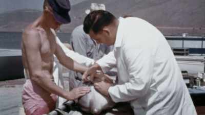 - So in Vietnam, these dolphins - The UnBelievable with Dan Aykroyd