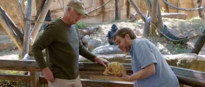 So this is a Neandertal. - Is Genesis History?