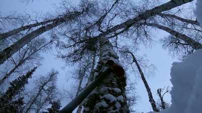 So, this is about as, as
stupid dangerous as it gets. - Life Below Zero: Next Generation