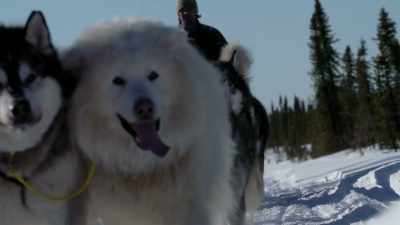 So, this is about
as traditional and
sustainable as it gets. - Life Below Zero: Next Generation