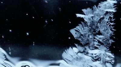 SO IS IT POSSIBLE
THAT THE FREEZING WEATHER - Mysteries of the Deep