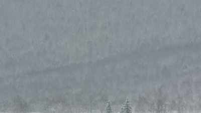 So this is roughly where
the Dyatlov tent was found. - An Unknown Compelling Force