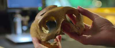 So, this is the famous Krapina 3 skull. - Secrets of the Neanderthals