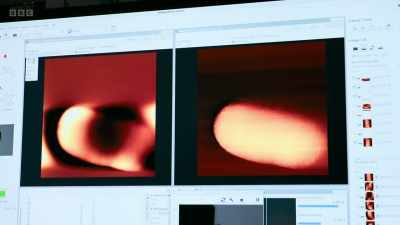 So this is the full cell?
The full bacteria? Yeah. - Secrets of Size: Atoms to Supergalaxies