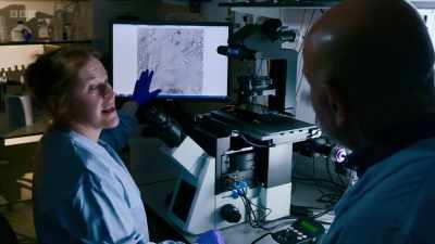 So, this is the sort of detail
that we get in a light microscope. - Secrets of Size: Atoms to Supergalaxies