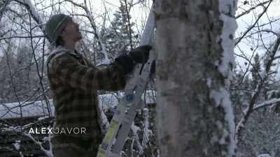 So this is the, this
is the biggest one. - Life Below Zero: Next Generation