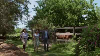 So, this is where we exercise
and work the new horses - My Argentine Heart