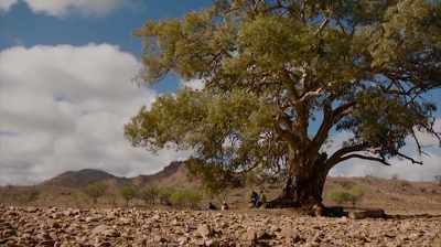 So, this is where
it all began, I suppose. - The Australian Dream