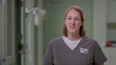 So, it is exciting as that
flashes in front of your eyes - Secrets of the Zoo