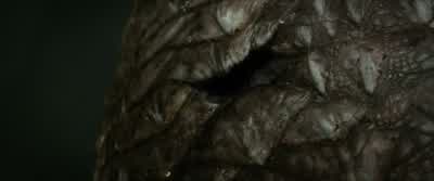 So it is true. - The Hobbit: The Desolation of Smaug