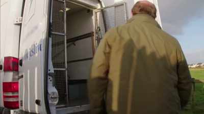 So it is really sad. - Britain's Tiger Kings - On the Trail with Ross Kemp
