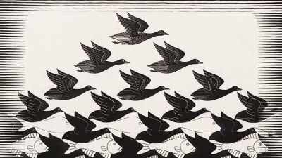 So it's a mishmash
that lacks all profoundness. - M. C. Escher: Journey to Infinity