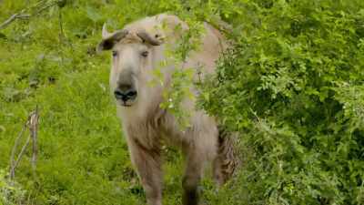So, it's just not a
good situation we
run into each other. - Secrets of the Zoo