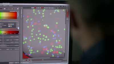 So it's sequentially moving on from
one infected cell to another one - The Human Body: Secrets of Your Life Revealed