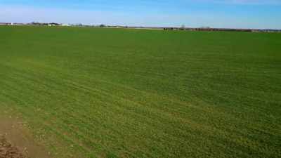  So, it's the perfect
 combination for fertilizer. - Engineering Catastrophes