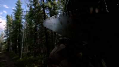 So, it's time to cut down
the big trees and haul 'em up. - Life Below Zero: Next Generation