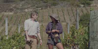 So I've, ah,
cleaned up the driveway. - Under the Vines