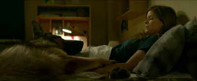 So, I've been thinking, - Megan Leavey