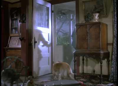 So I've been thinking, - Quantum Leap